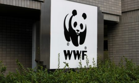 wwf france lfp interview