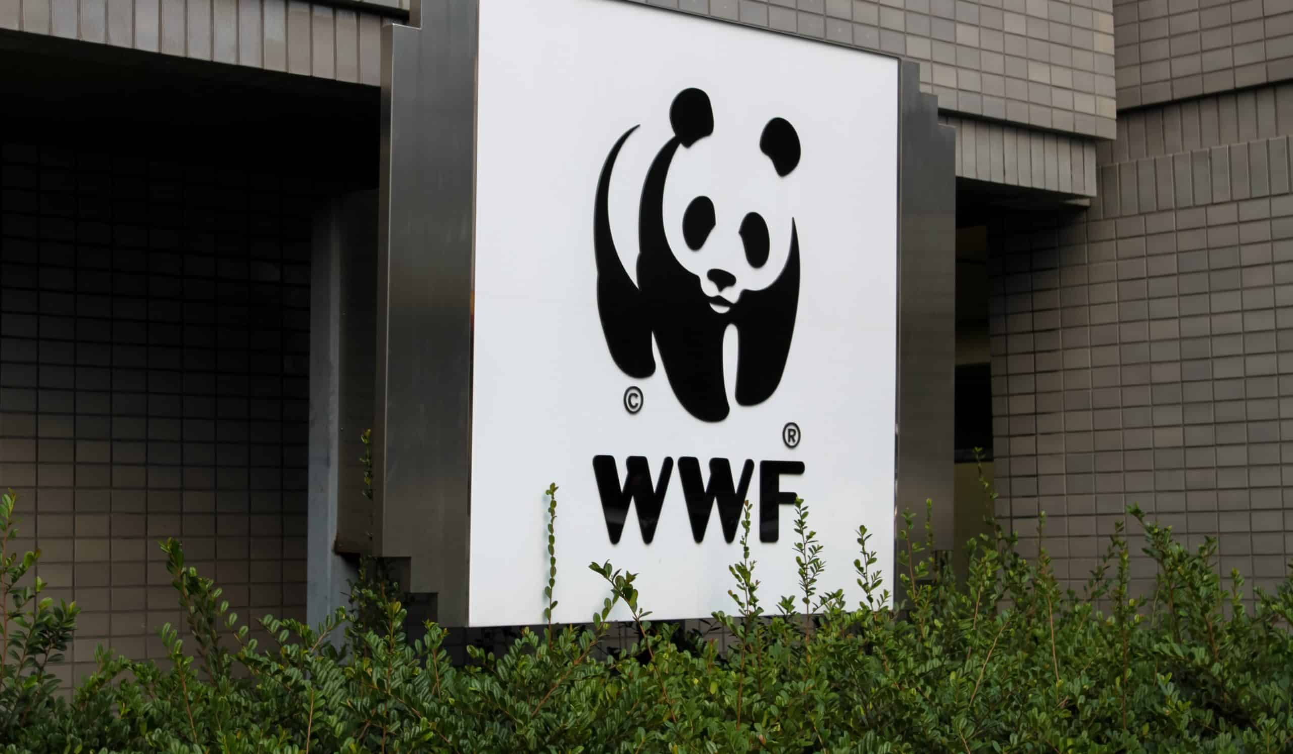 wwf france lfp interview