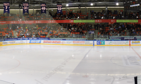 ligue magnus