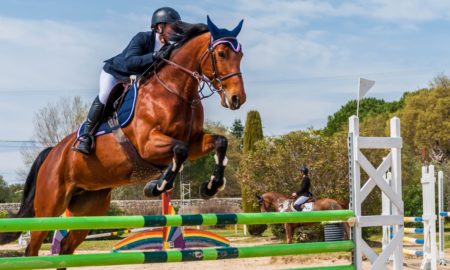 équitation paris 2024