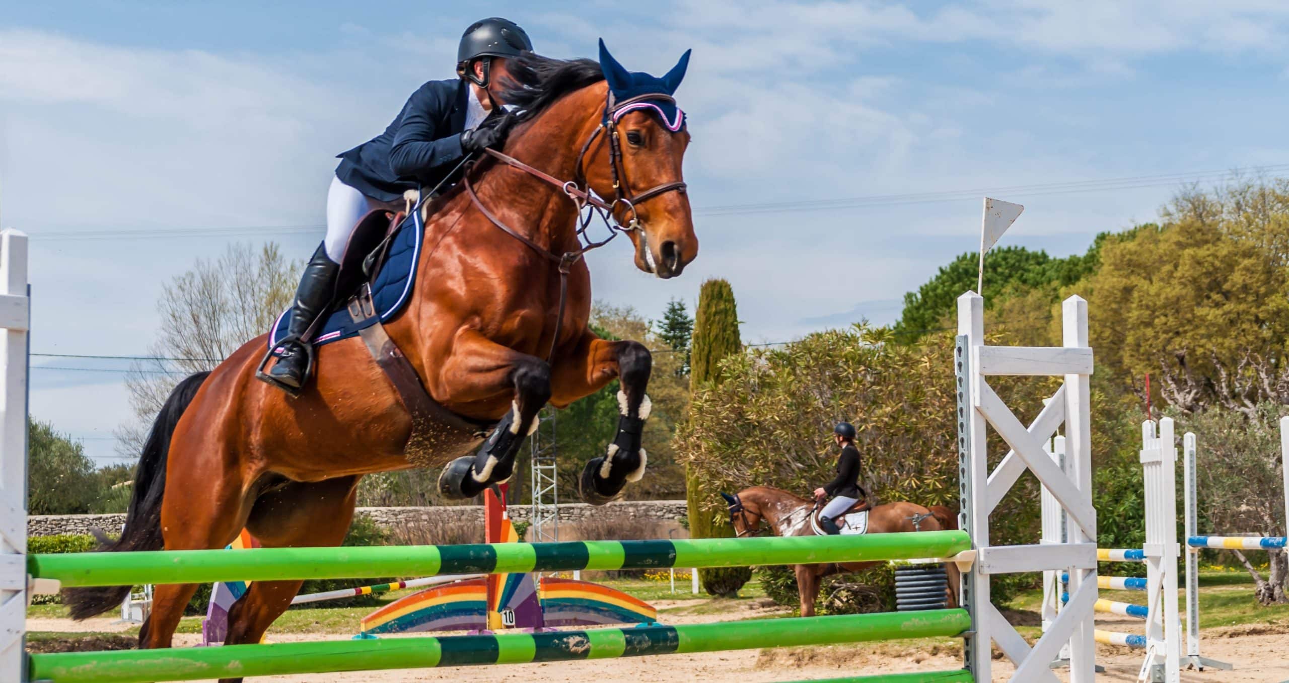 équitation paris 2024