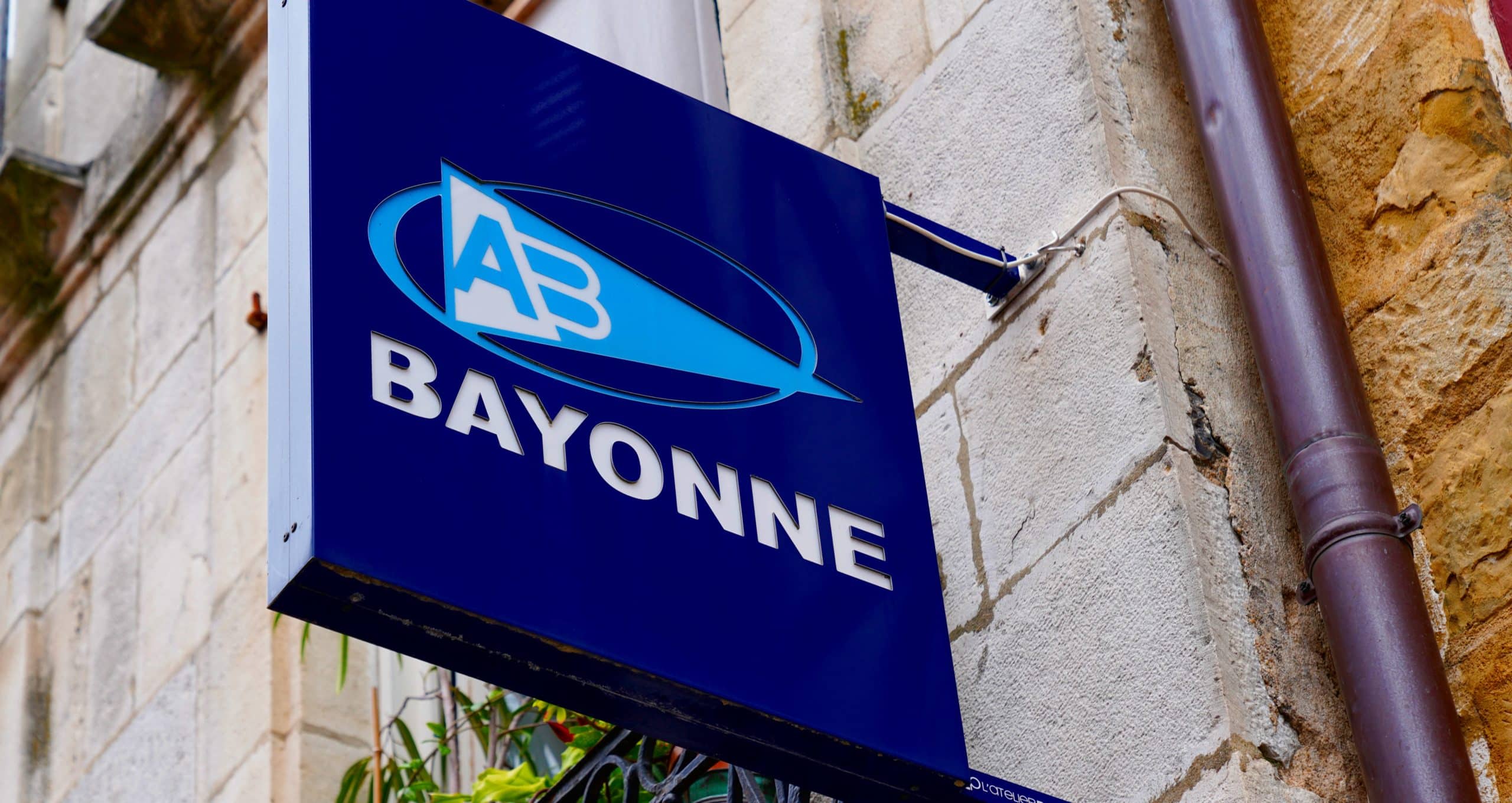 aviron bayonnais développement