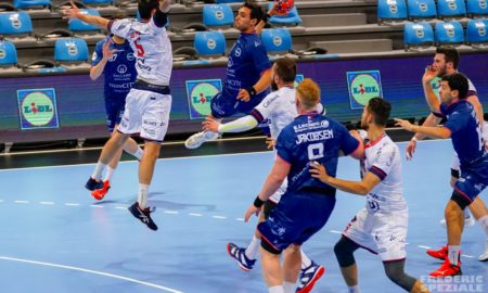 toulouse fenix handball