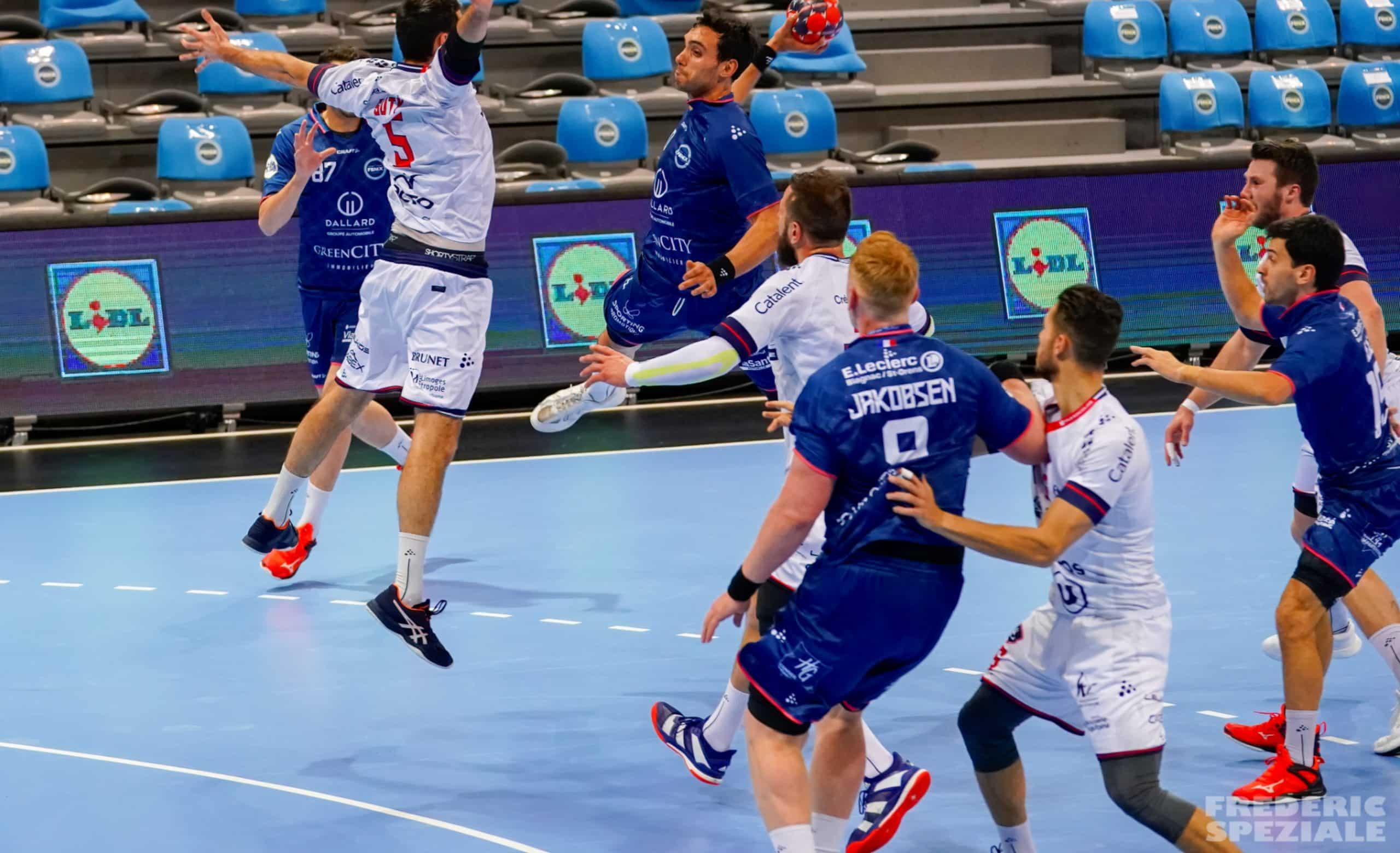 toulouse fenix handball