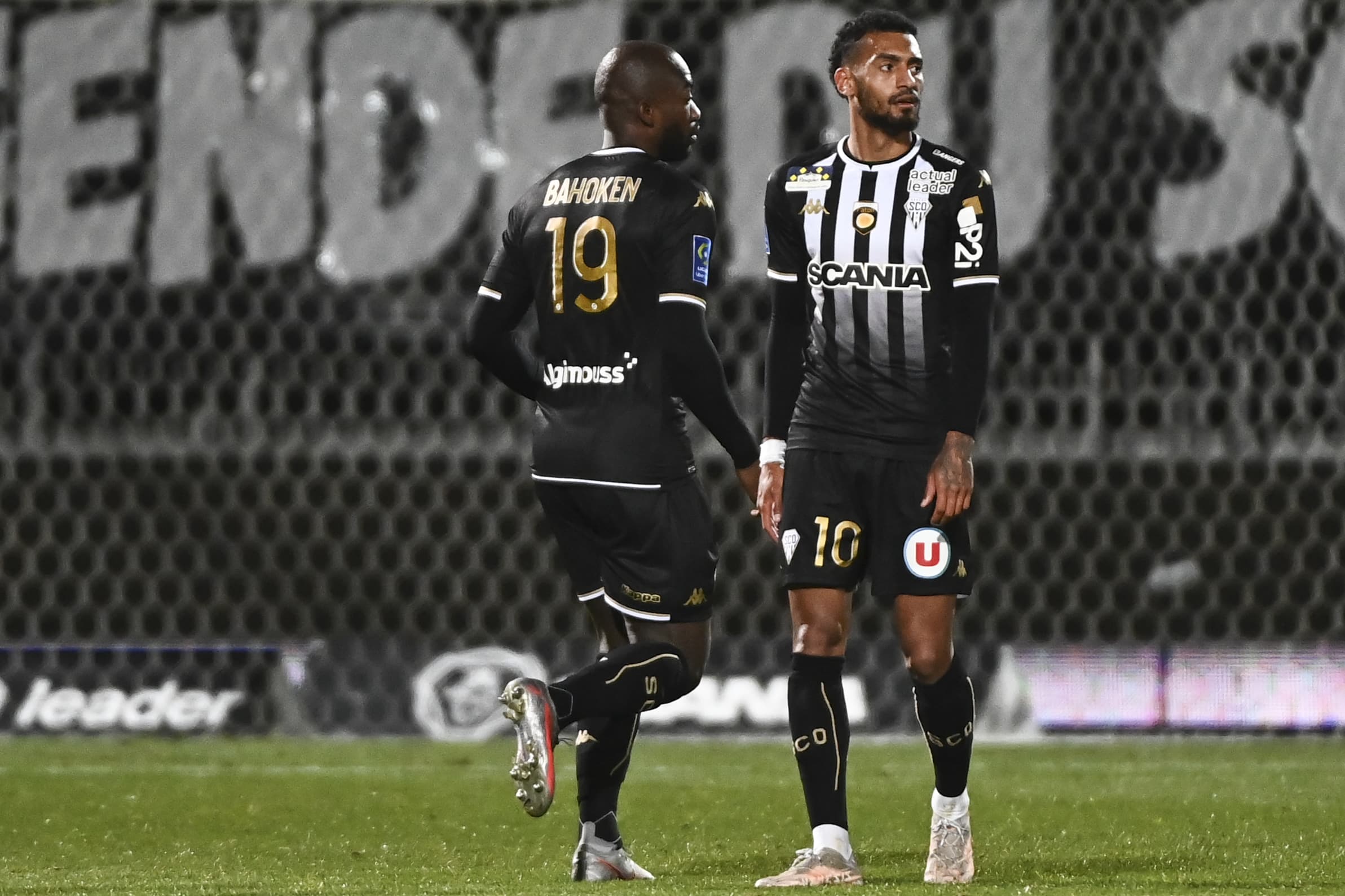 refonte logo angers sco