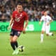 Losc Réseaux Sociaux