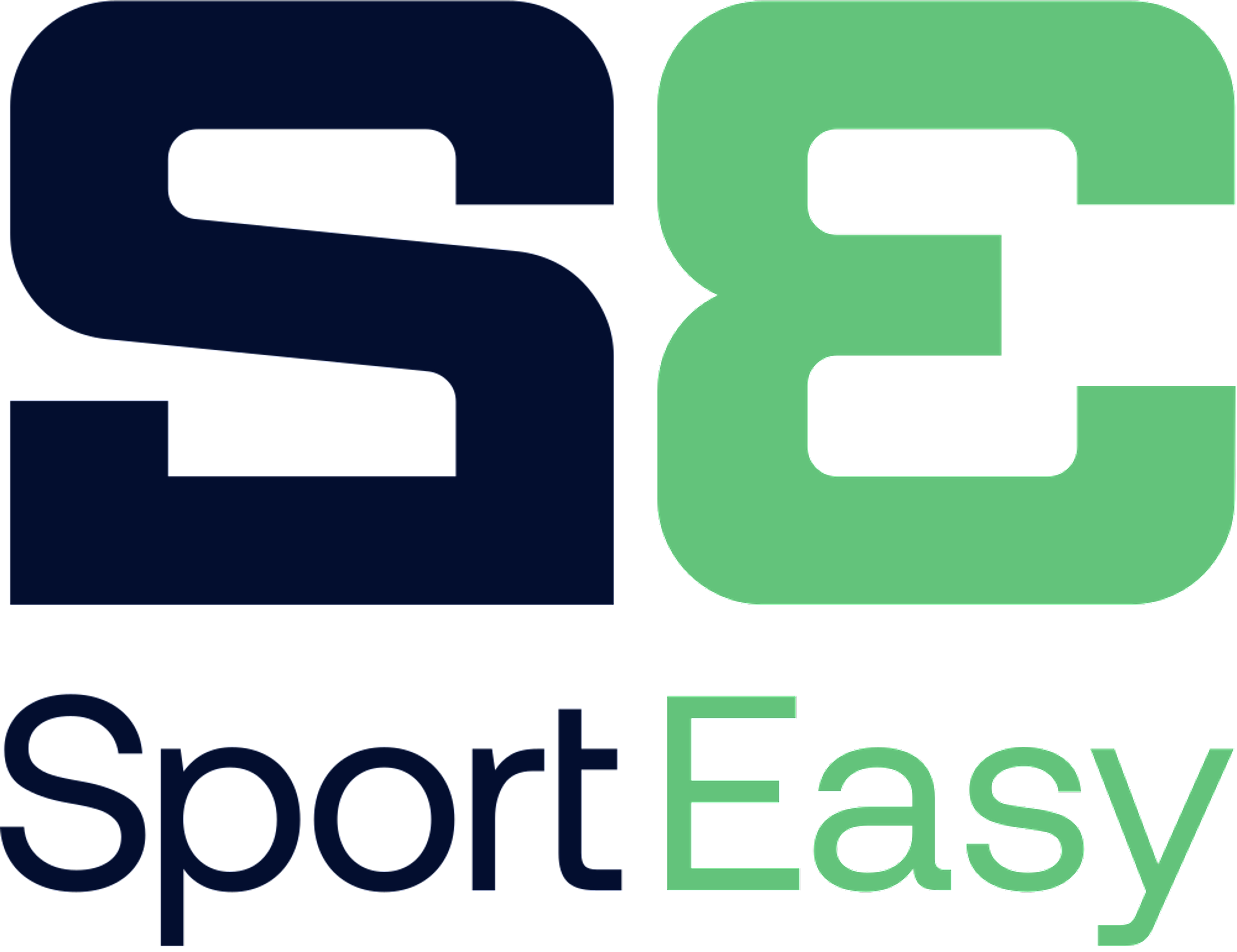 logo sporteasy
