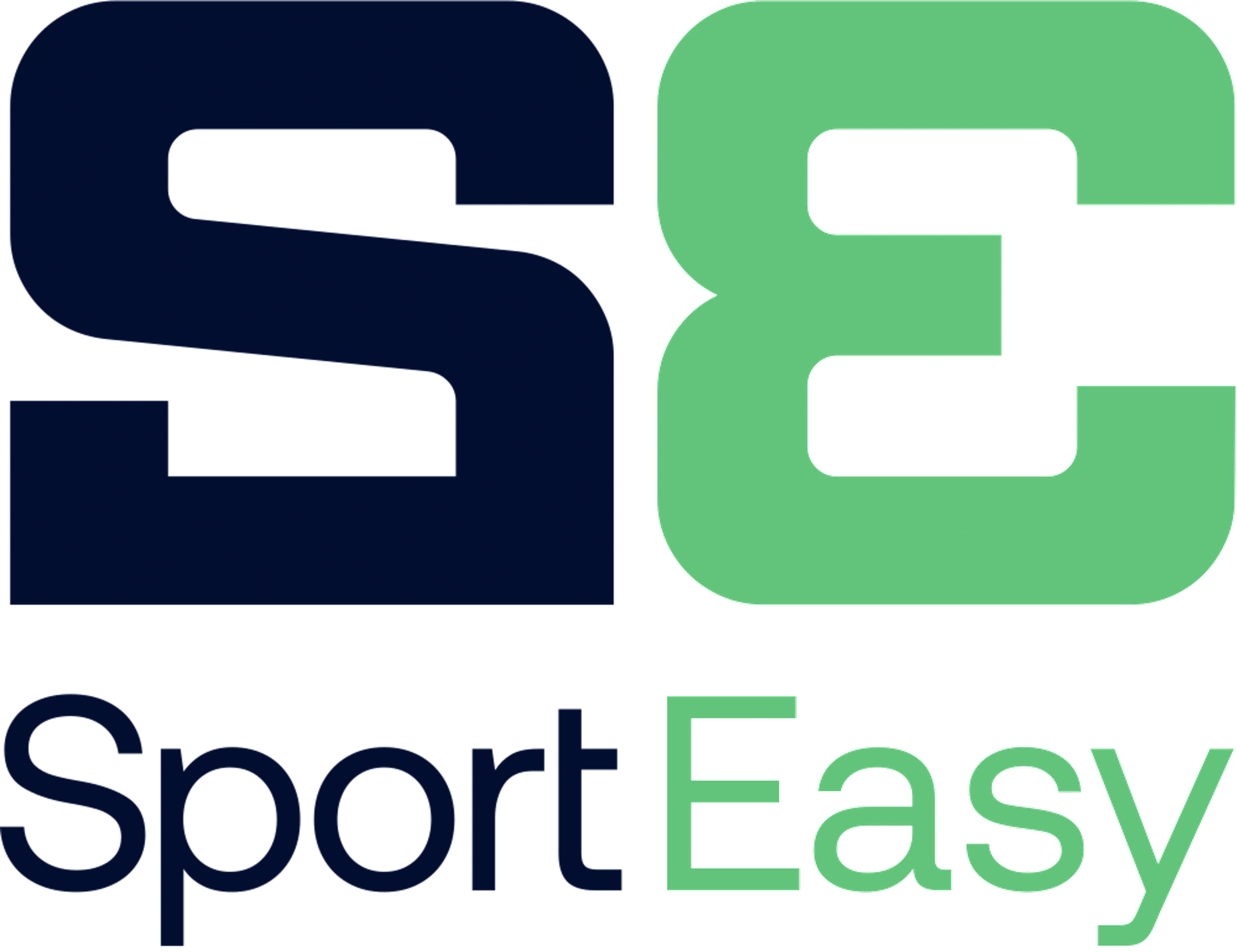 logo sporteasy