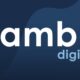 samba digital - campagne