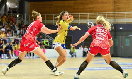 collectivités handball féminin haut niveau