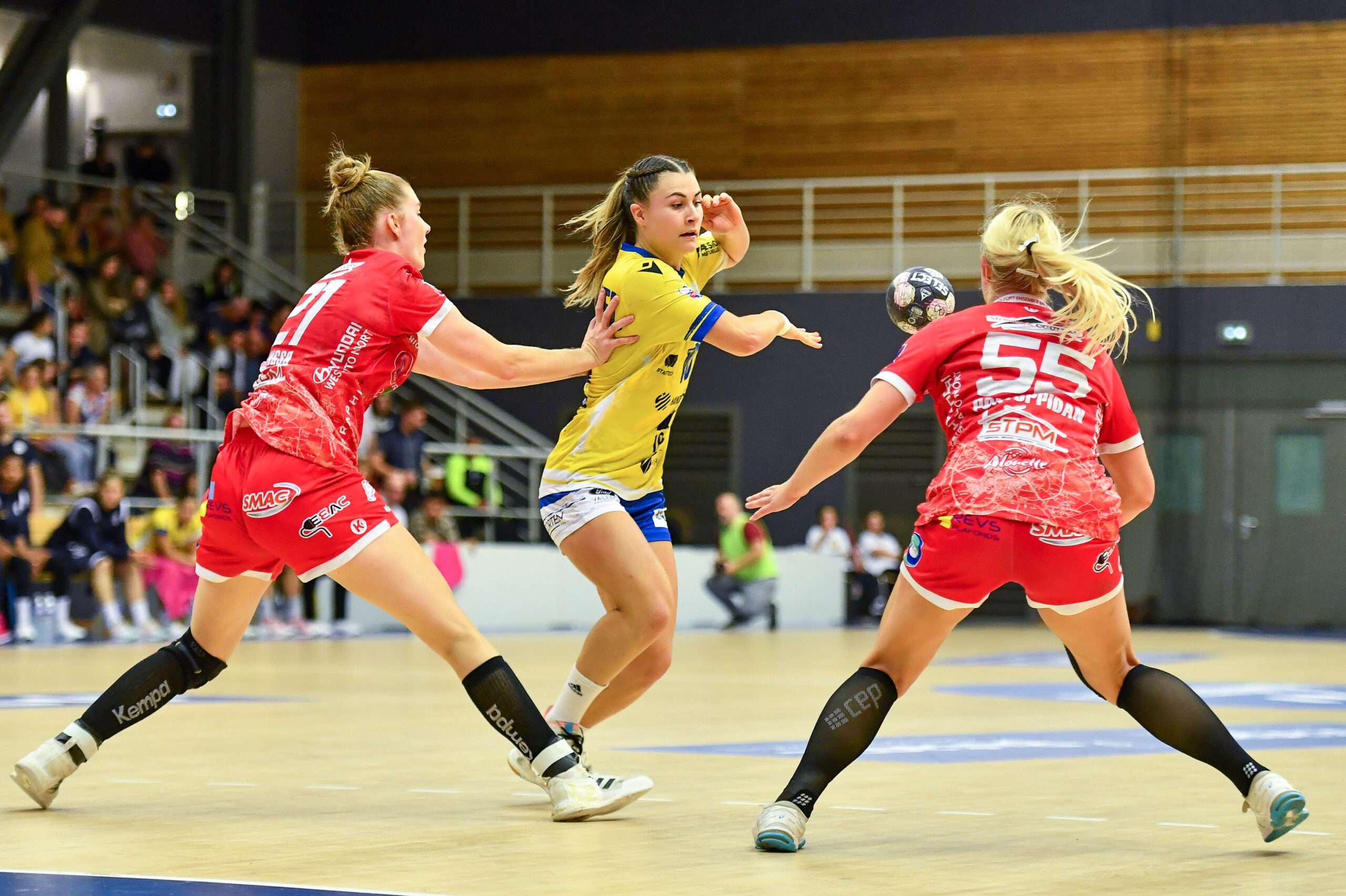 collectivités handball féminin haut niveau