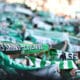 asse expérience fan