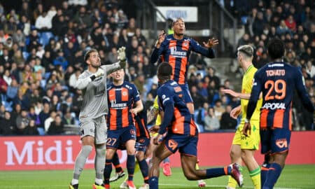 MHSC Expérience Spectateur