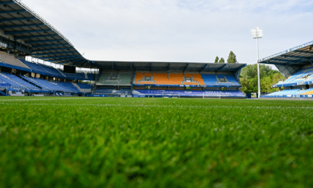 Natural Grass ESTAC