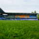 Natural Grass ESTAC