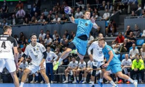LNH développement revenus