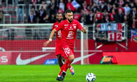 DFCO développement