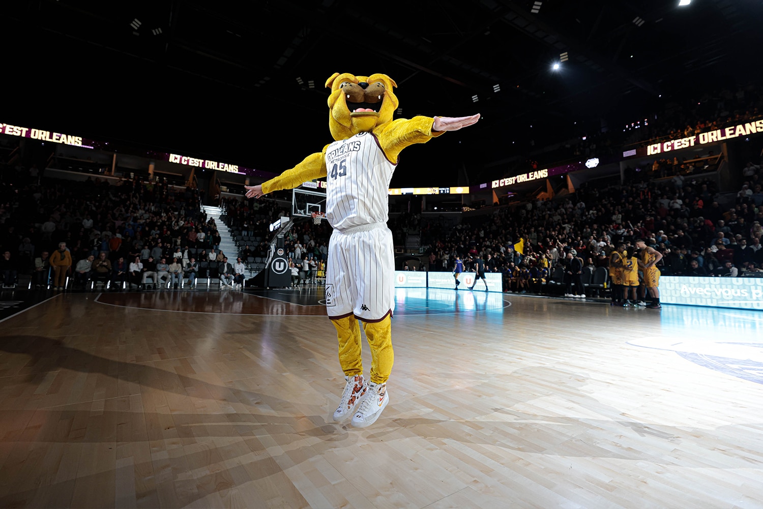 Orléans Loiret Basket billetterie