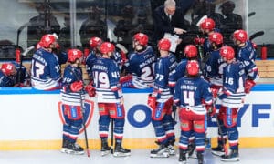 Bruleurs de Loups Grenoble nouveau site