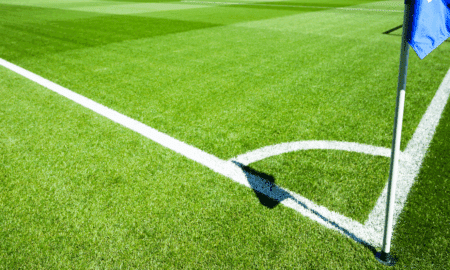 Chief Sustainability officer sport français