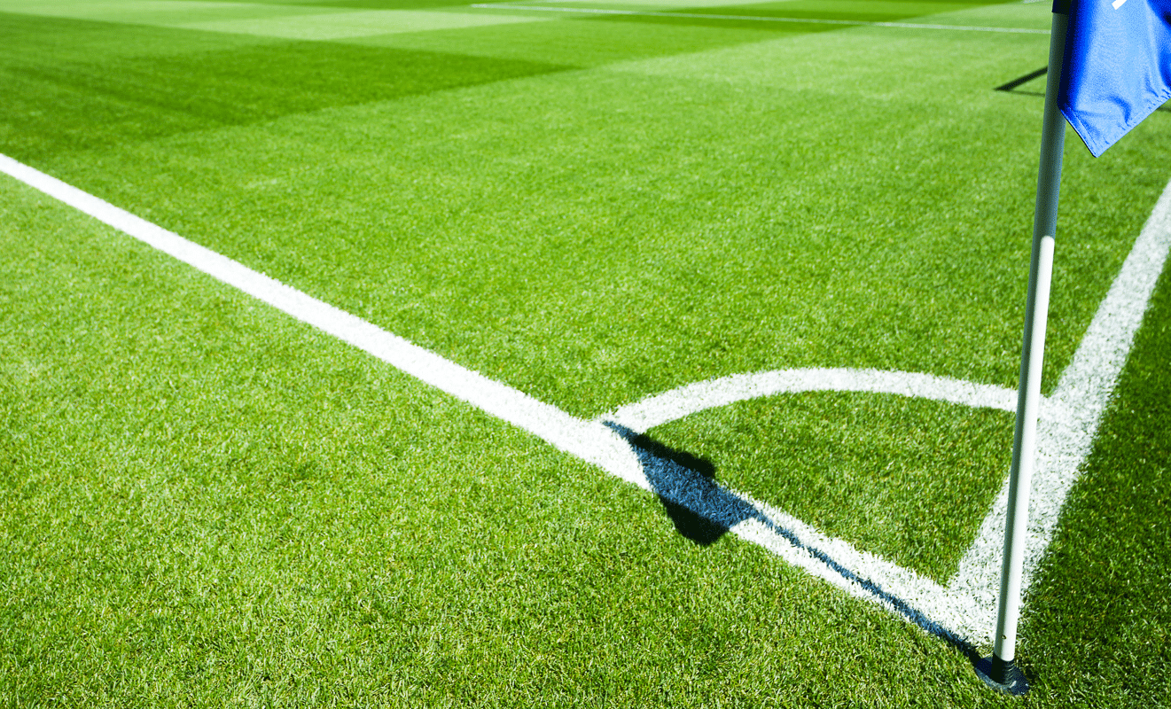 Chief Sustainability officer sport français