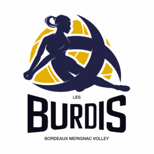 logo bordeaux merignac volley